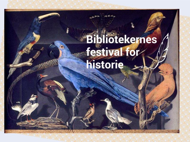 bibiotekernes festival for historie