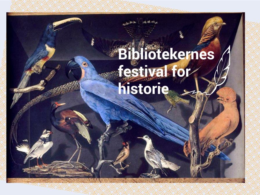 bibiotekernes festival for historie