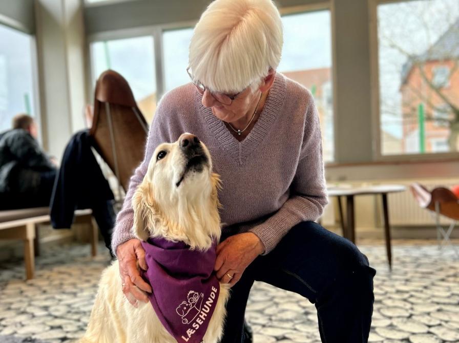 Billede af en læsehund og dens ejer. Hunden har et lilla halstørklæde med Læsehundes logo